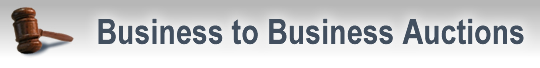 Business to business auctions